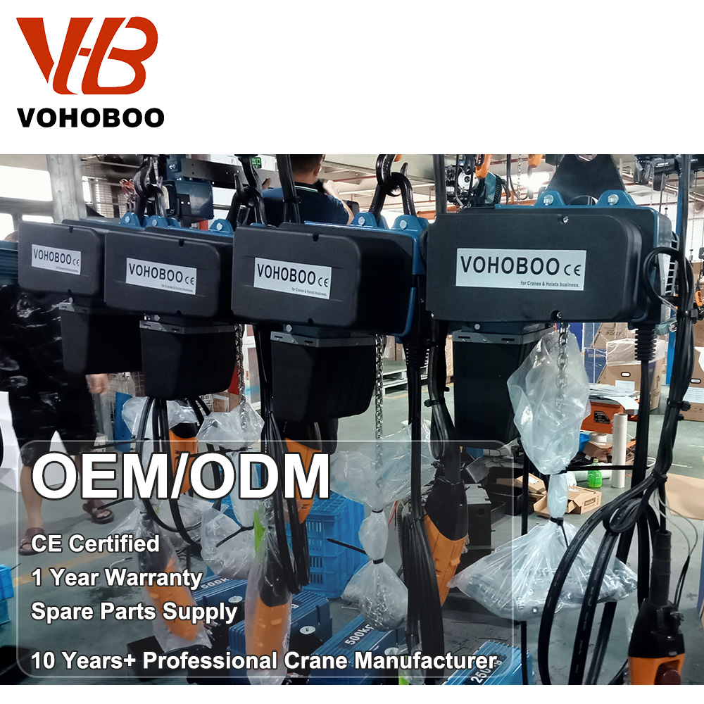 250 kg 500 kg 1 ton Elektrisch - Hand Tools Maintenance Workshop recensie en prijs